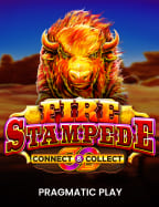 วิธีเล่น joker123 100 สำหรับมือใหม่